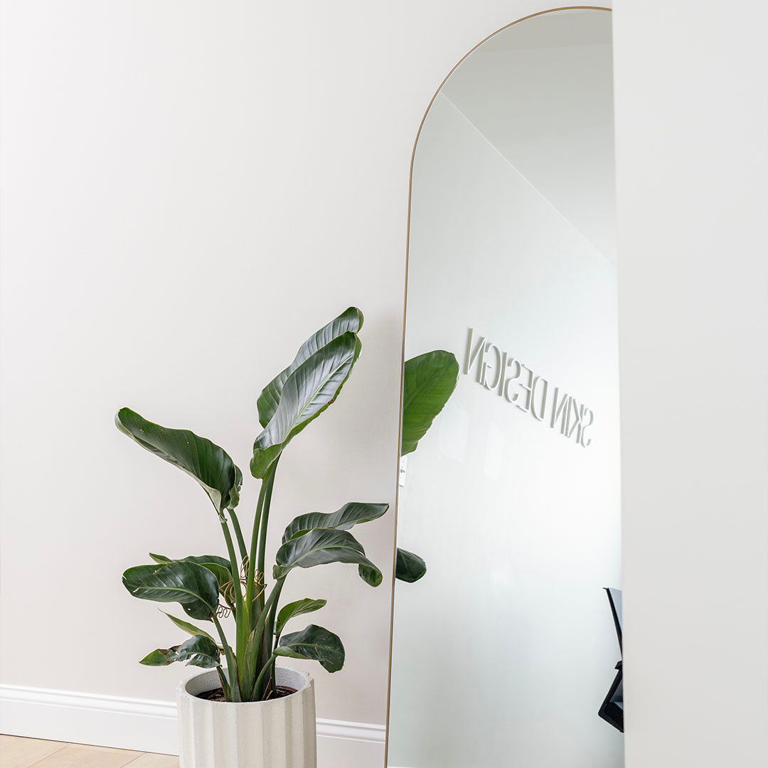 plant and mirror with logo reflecting in it Skin Design Aesthetics medical spa in South Shore, MA Pembroke, MA, Handover, MA 